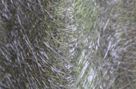 Beeby fibreglass roof work